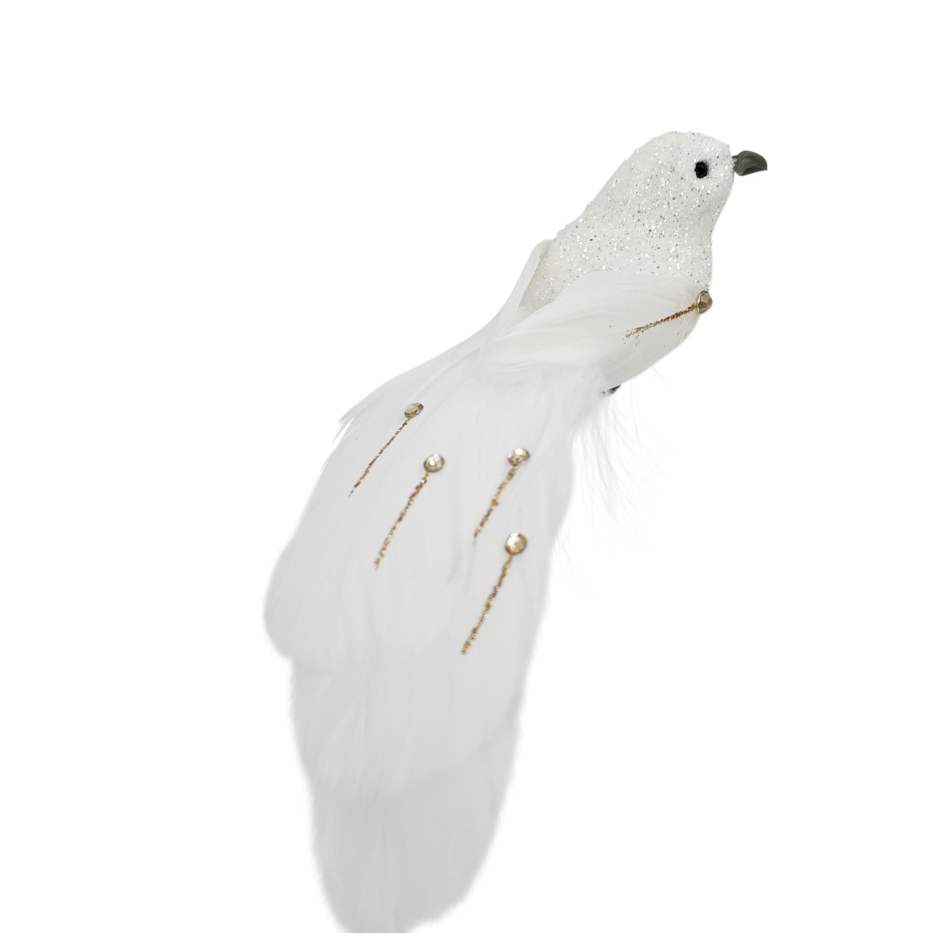 Long Tailed Bird Feathered | White