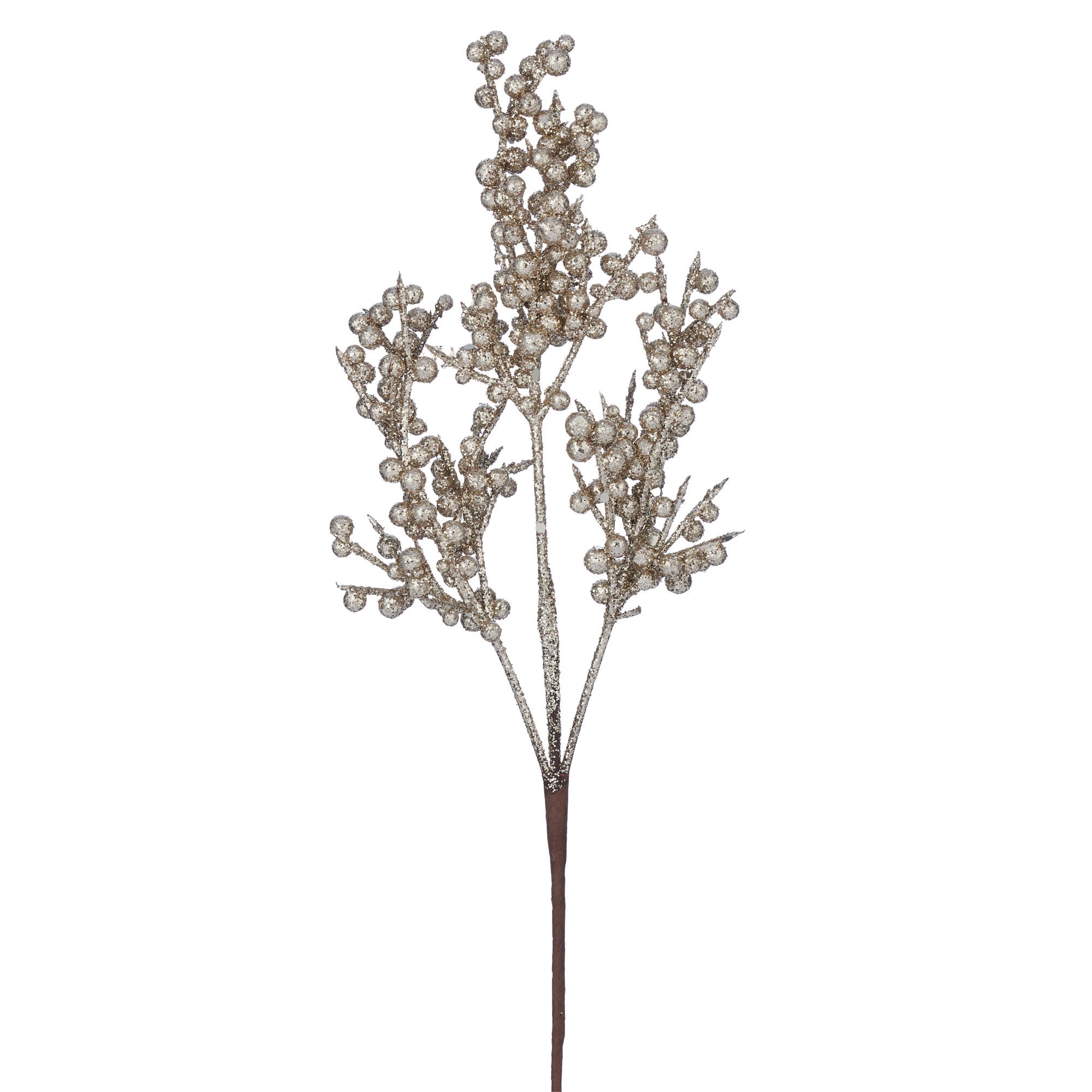 Champagne Bubble Branch w/ Glitter