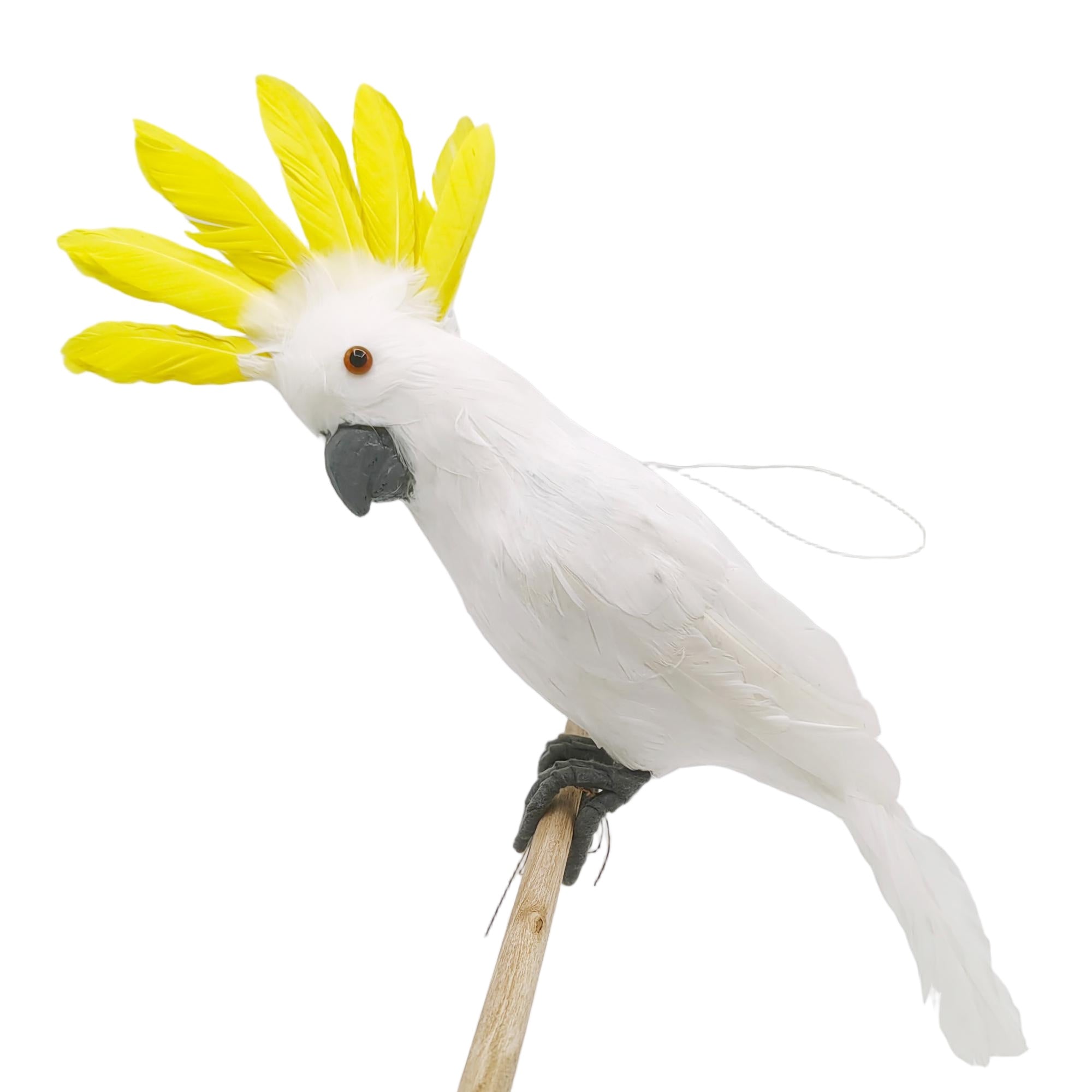 Feather Cockatoo Decoration
