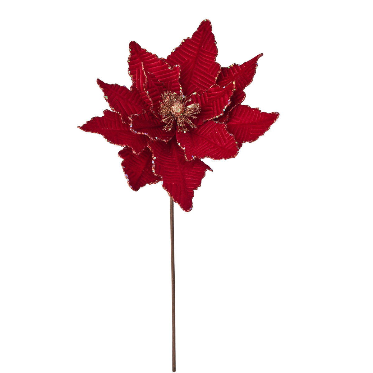 Garnet Poinsettia Stem