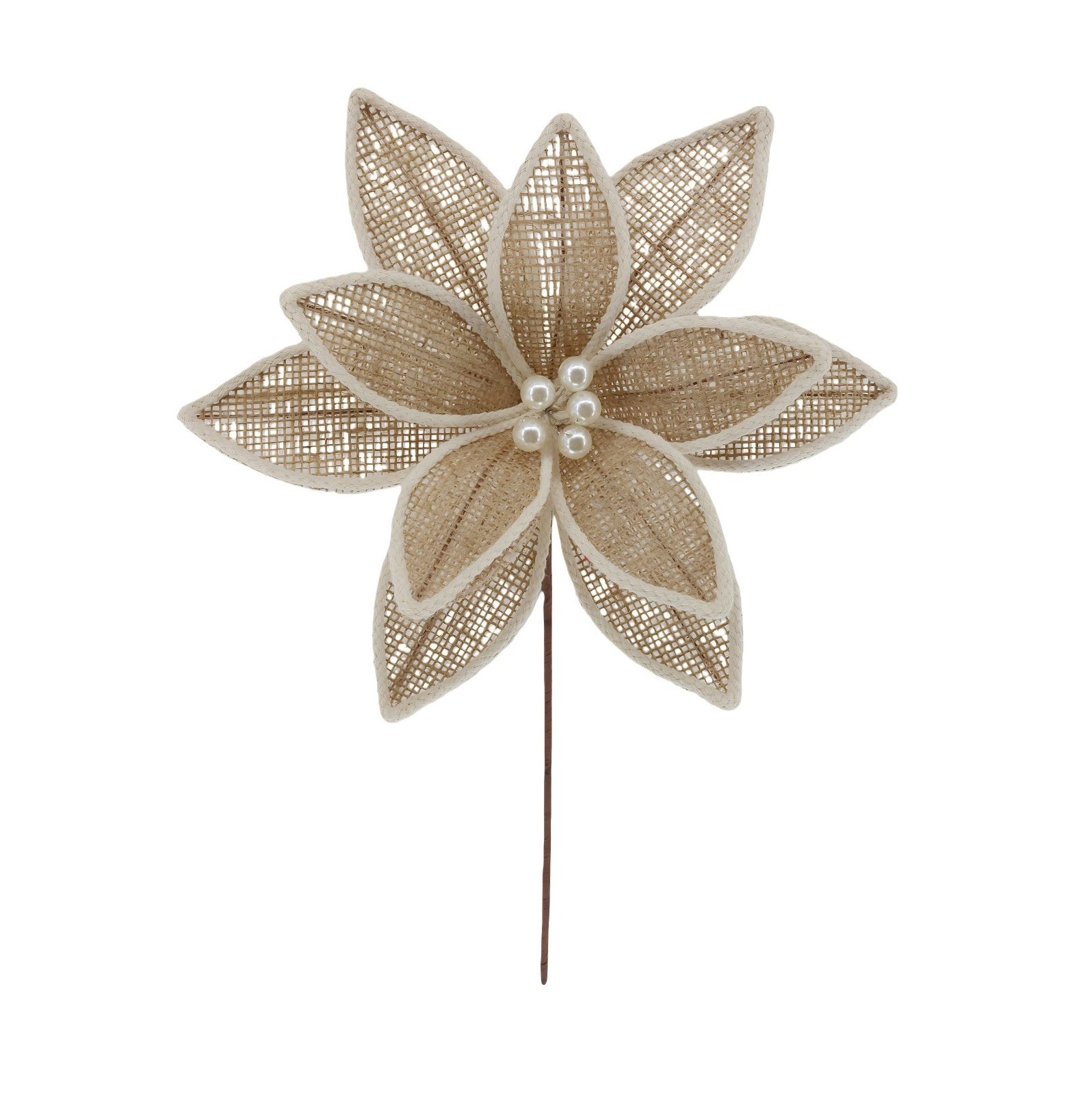 Mae Pearl Poinsettia