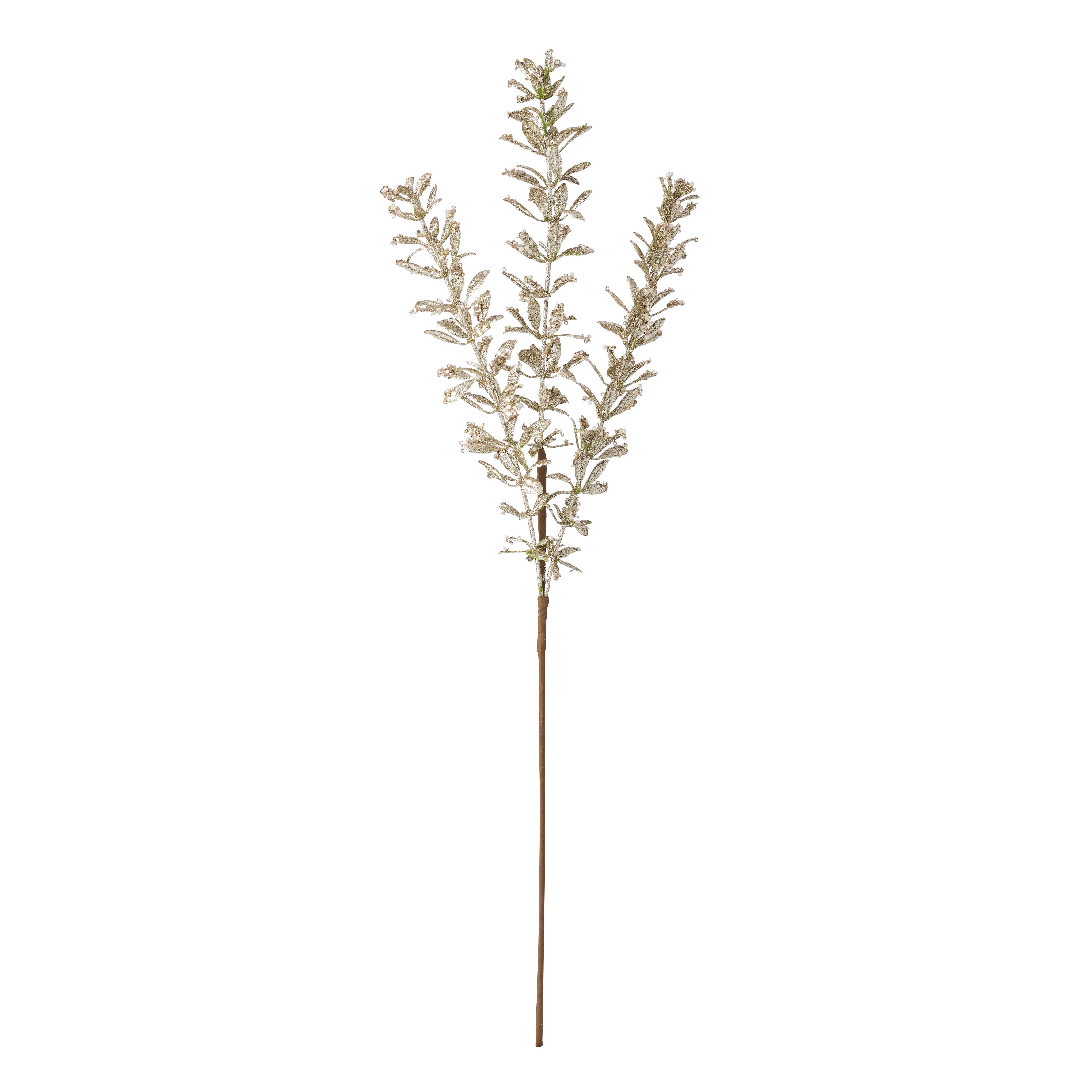 Pinnatisect Spray