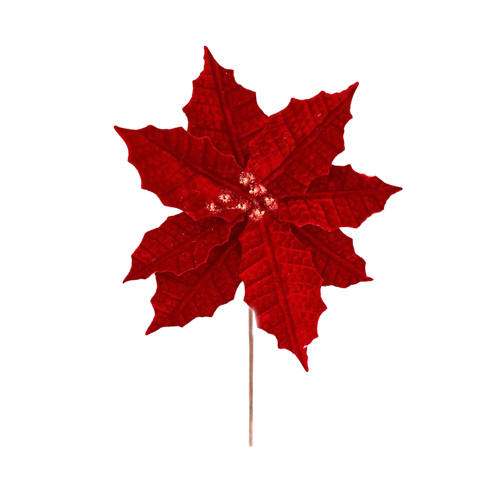 Red Christmas Poinsetta