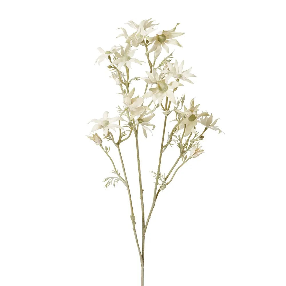 Flannel Flower Spray | White