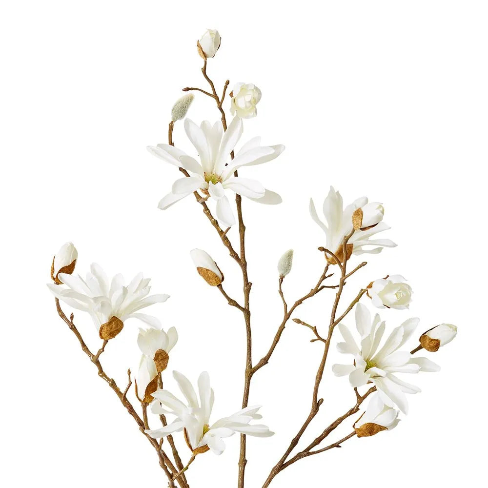 Magnolia Japanese Spray | White
