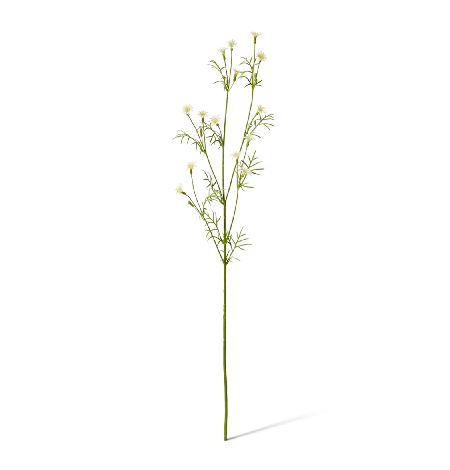 Campanula Spray