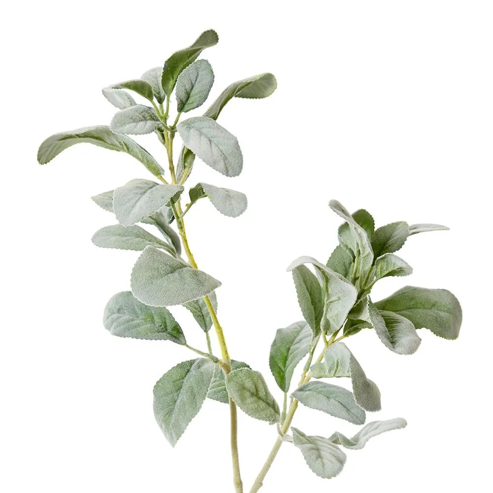 Lambs Ear Leaf Spray | Grey Green