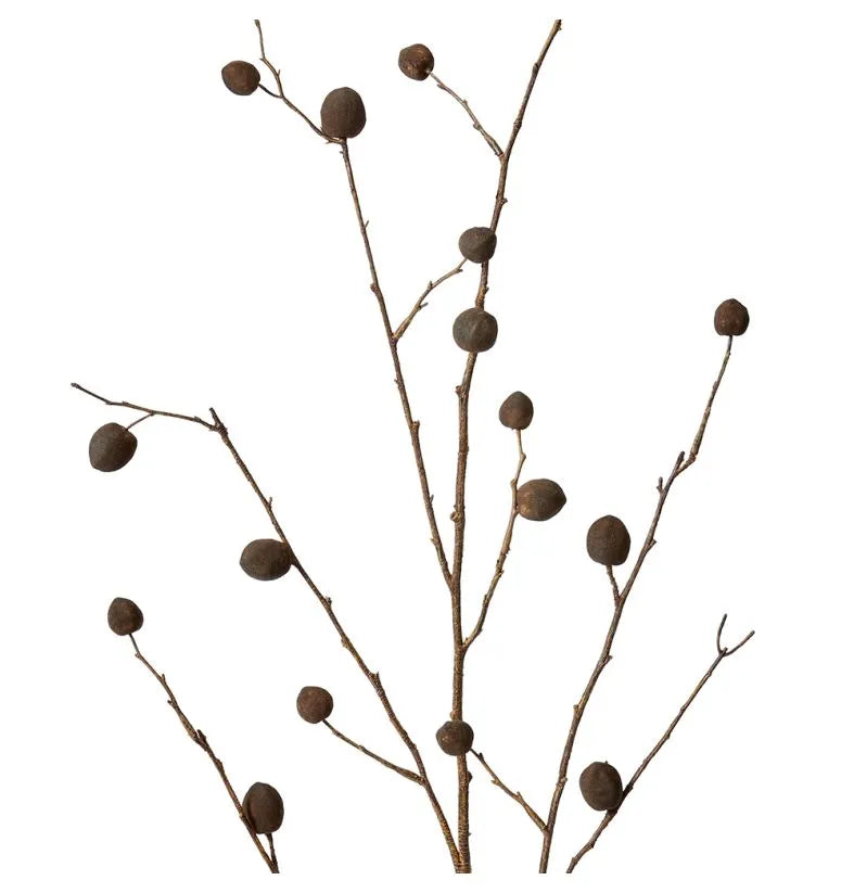 Berry Pod Dried Look Branch | Dark Brown