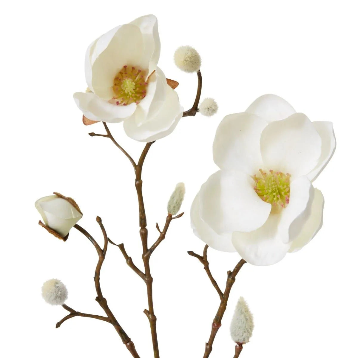 Magnolia Spray | White