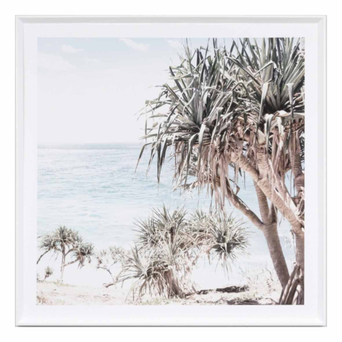 Coastal Palms | 6 Sizes