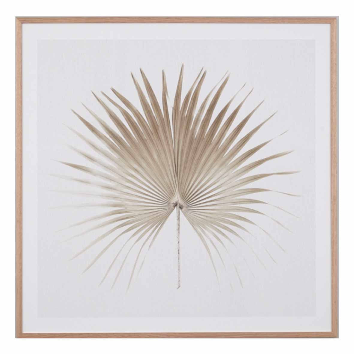 Verano Palm II | 7 Sizes