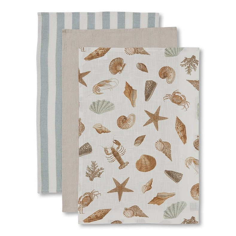 Shell Collection Teatowel Pack/3