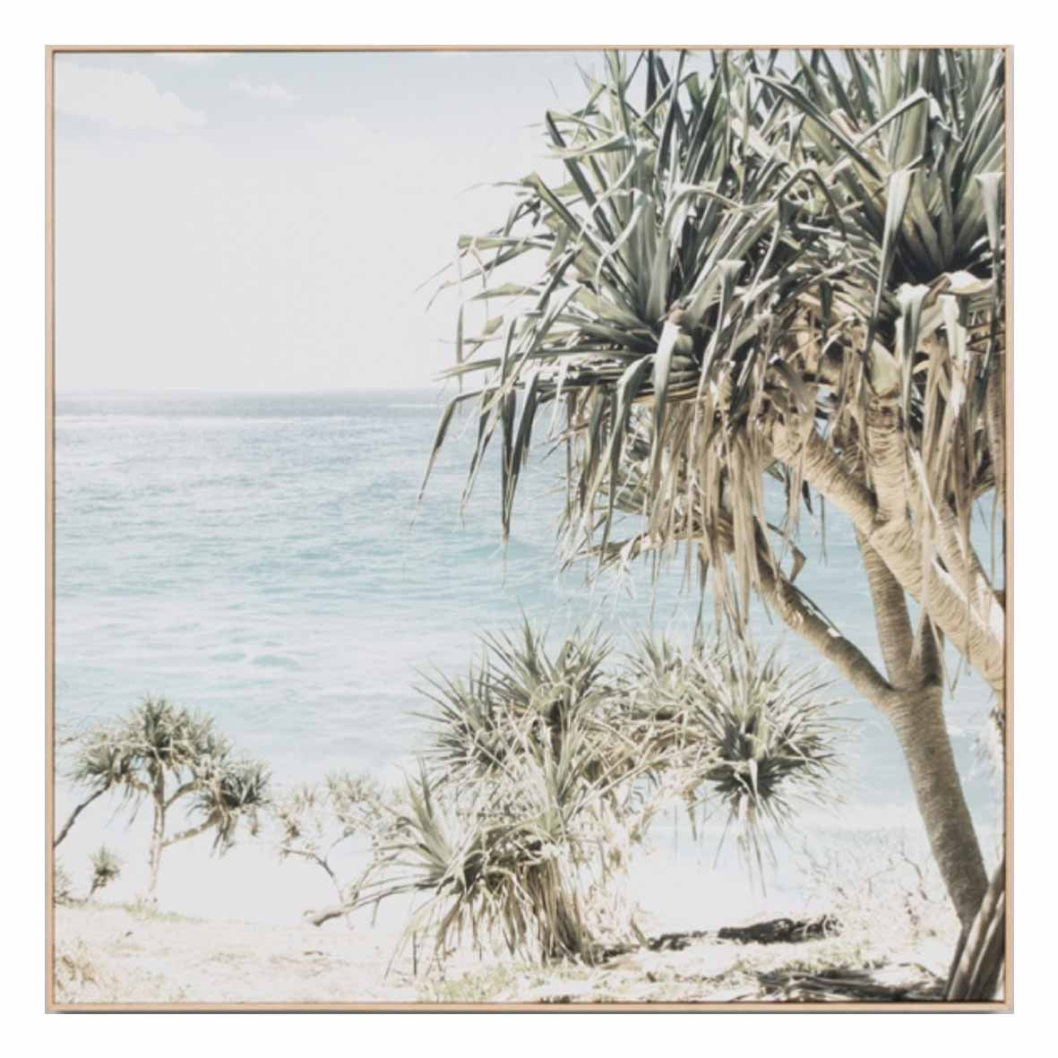 Coastal Palms Framed Canvas | 2 Sizes