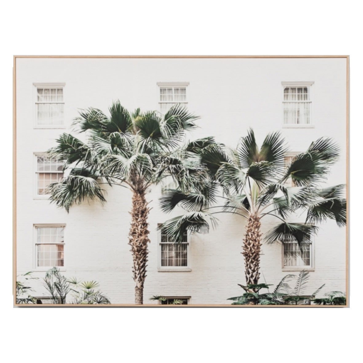 Palm Resort Framed Canvas | 2 Sizes