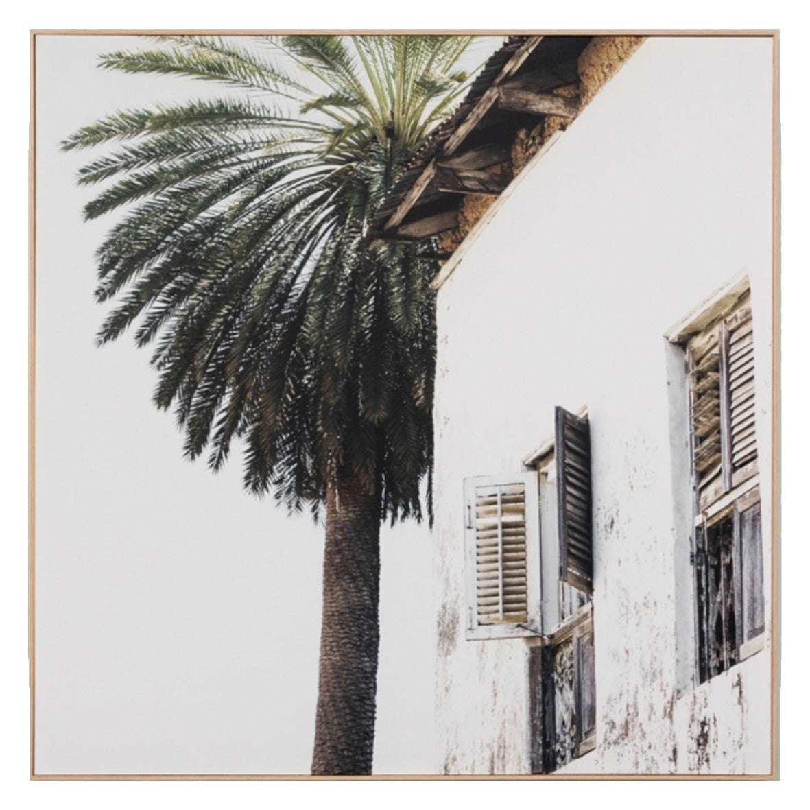 Palm Window Framed Canvas