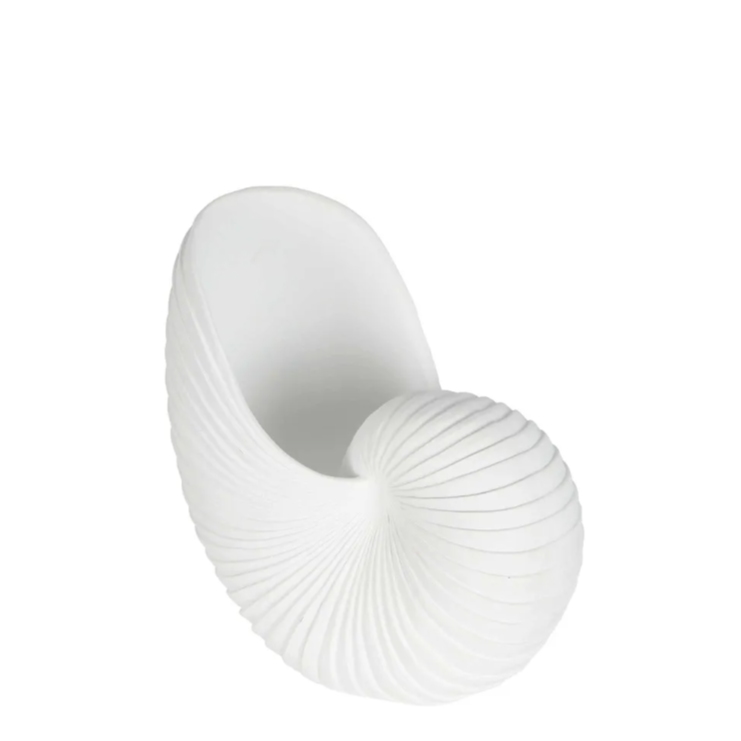 Nautilus Shell White