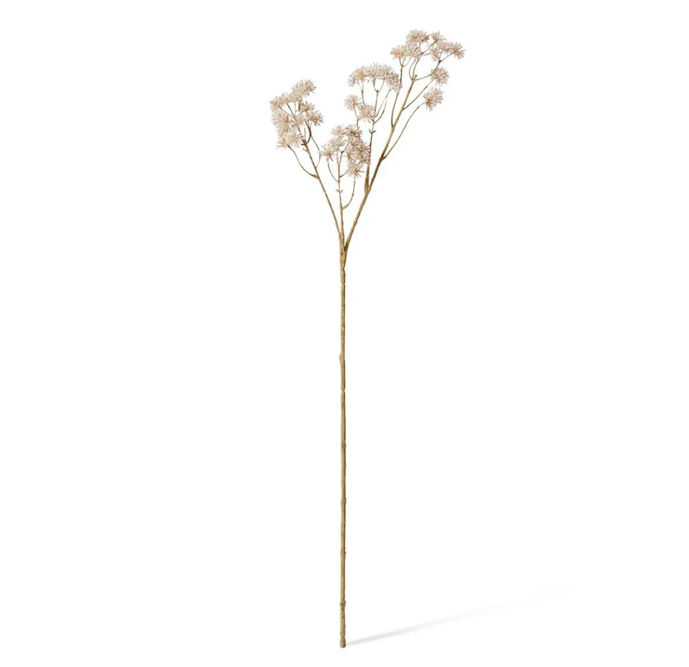 Aralia Deco Seed Spray