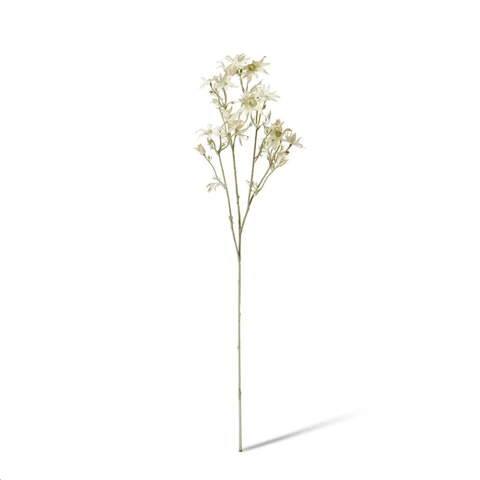 Flannel Flower Spray | White