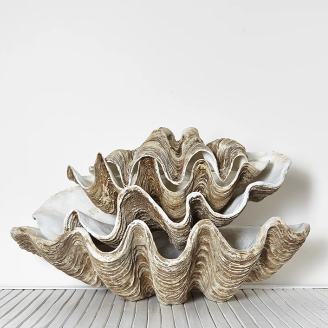 Vintage Clam Shell - Large 68cm