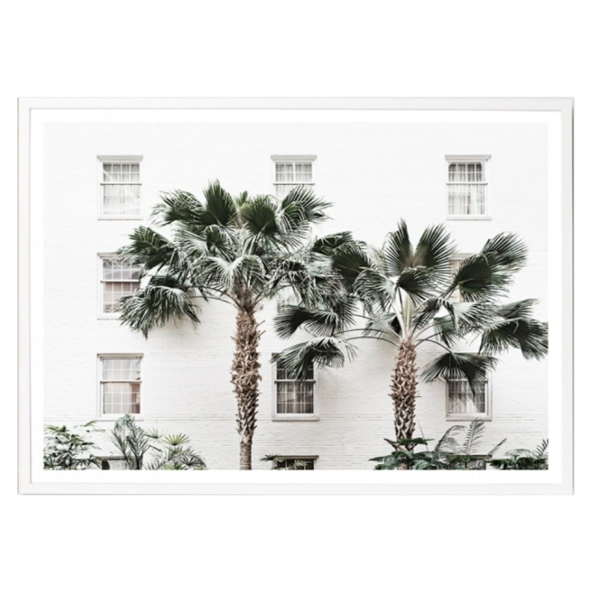 Palm Resort | 6 Sizes